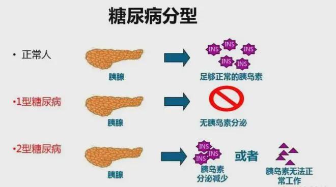 图片84.jpg 图片84.jpg