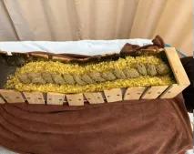 图片89.jpg 图片89.jpg