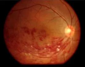 图片119.jpg 图片119.jpg