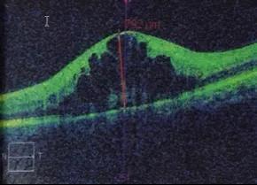 图片120.jpg 图片120.jpg