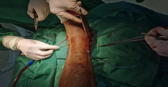 图片168.jpg 图片168.jpg