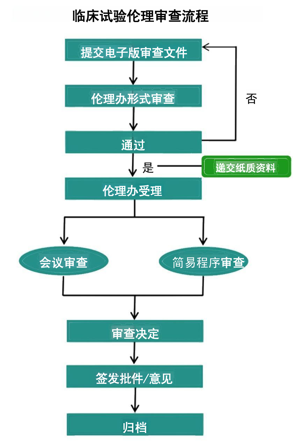 临床试验伦理审查流程图(1).jpg